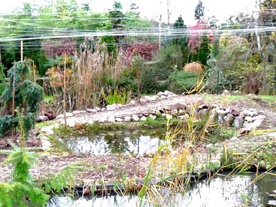 le jardin d'eau LY