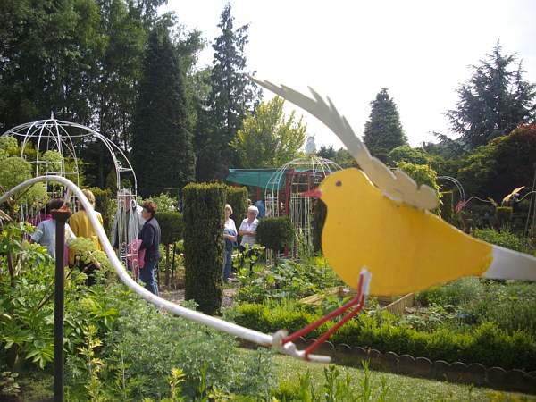 Louisette Pitau dans son jardin d'aromatiques.