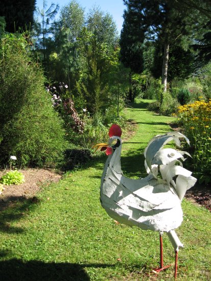 Un des coqs du jardin de LY.